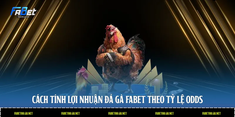 Cách tính lợi nhuận đá gà Fabet theo tỷ lệ Odds