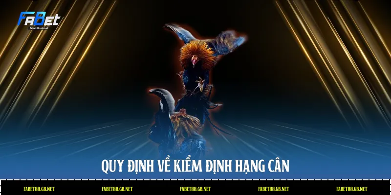 Quy định về kiểm định hạng cân